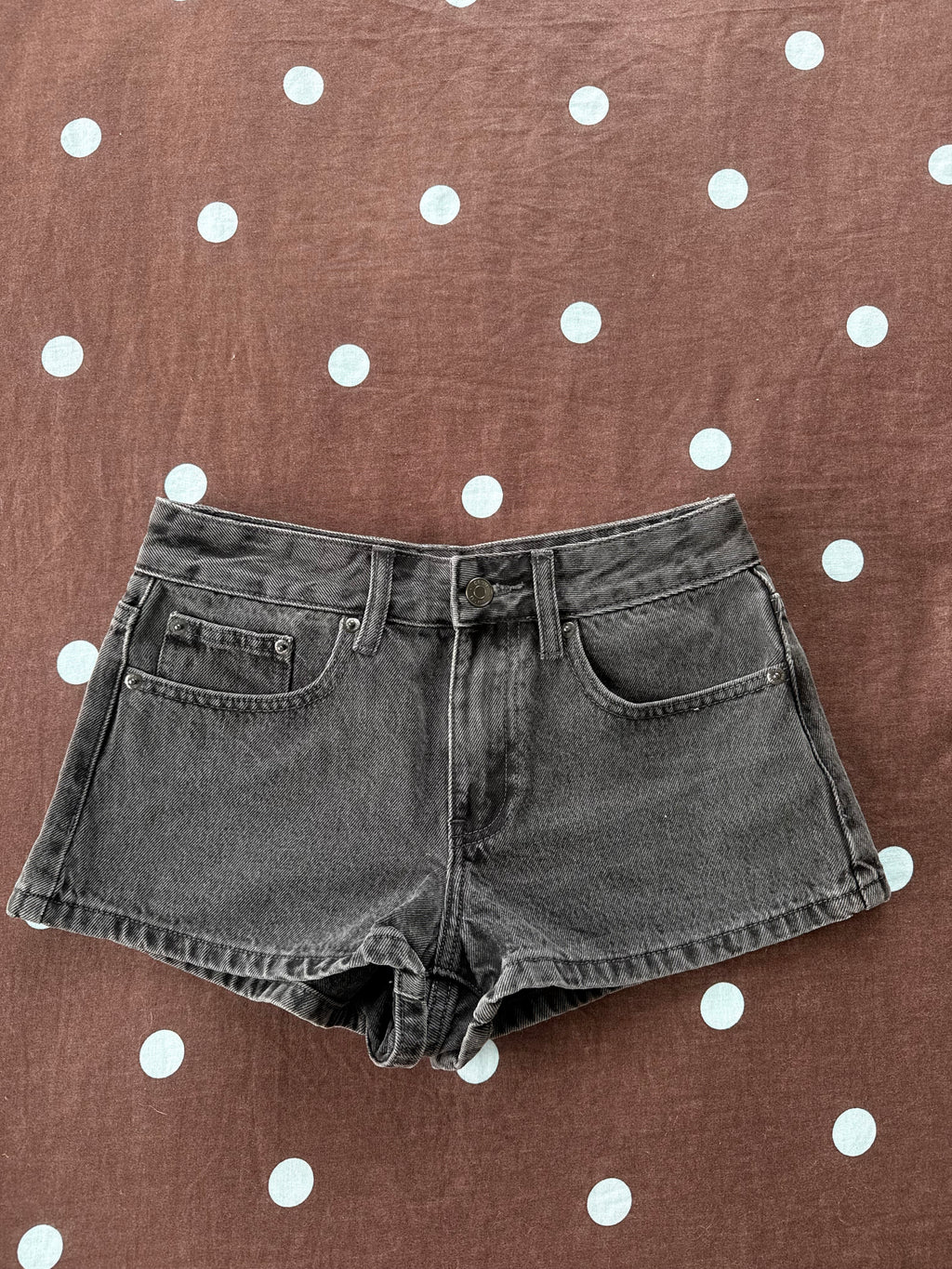 Glassons Shorts / Size 6