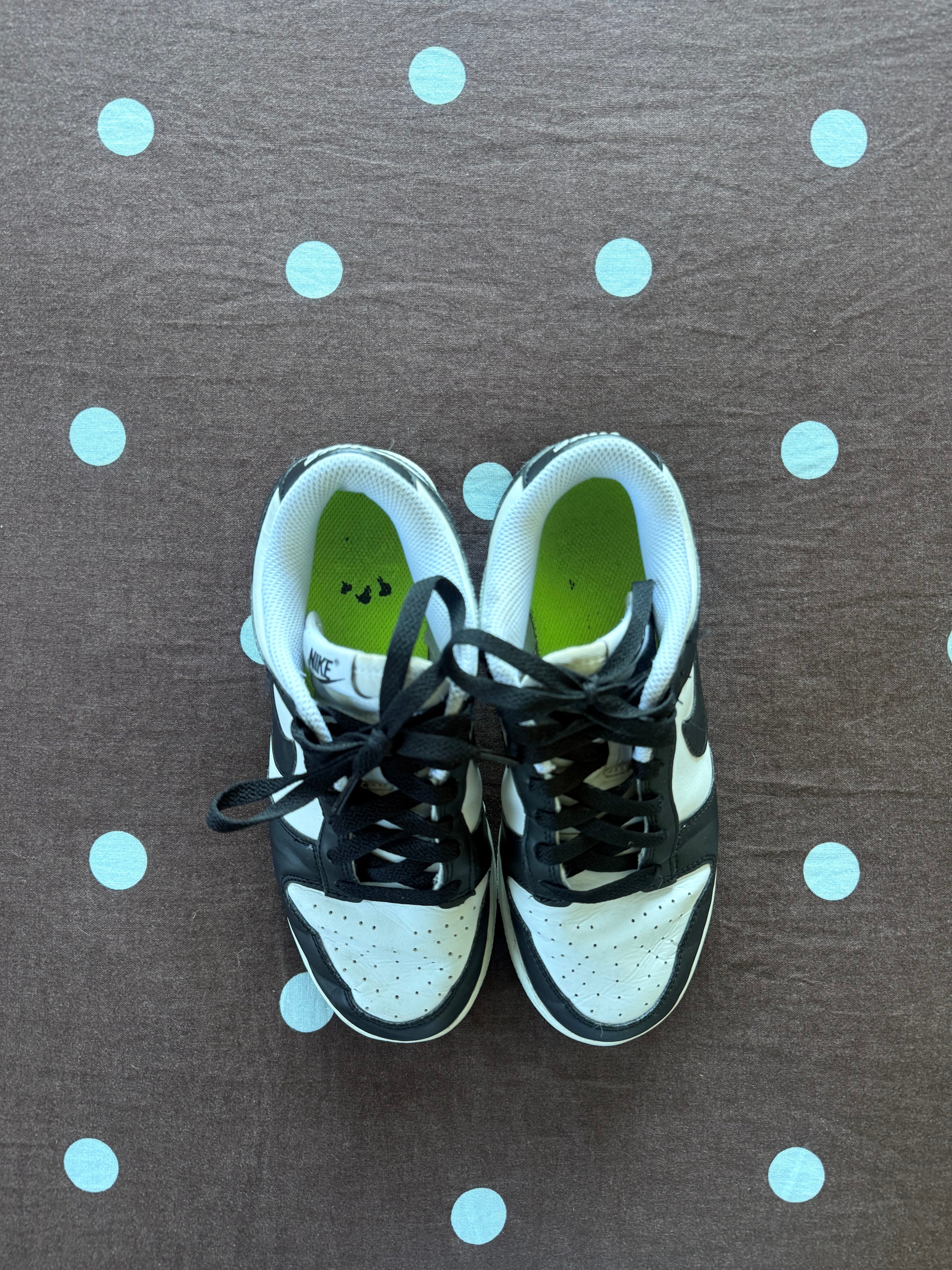 Nike Dunks / Size 6