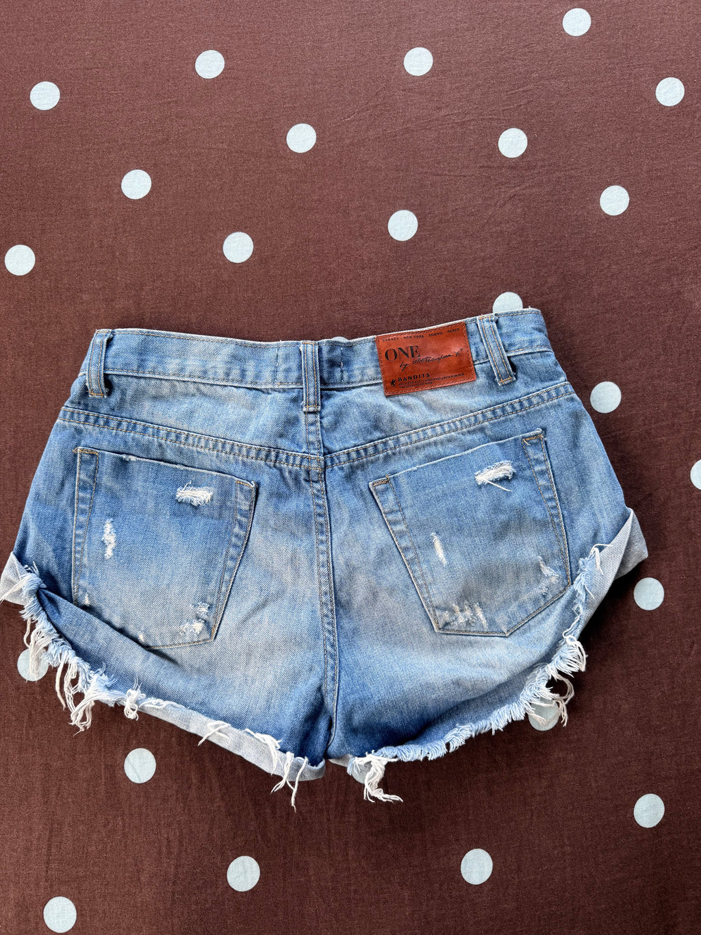 One Teaspoon Shorts / Size 25