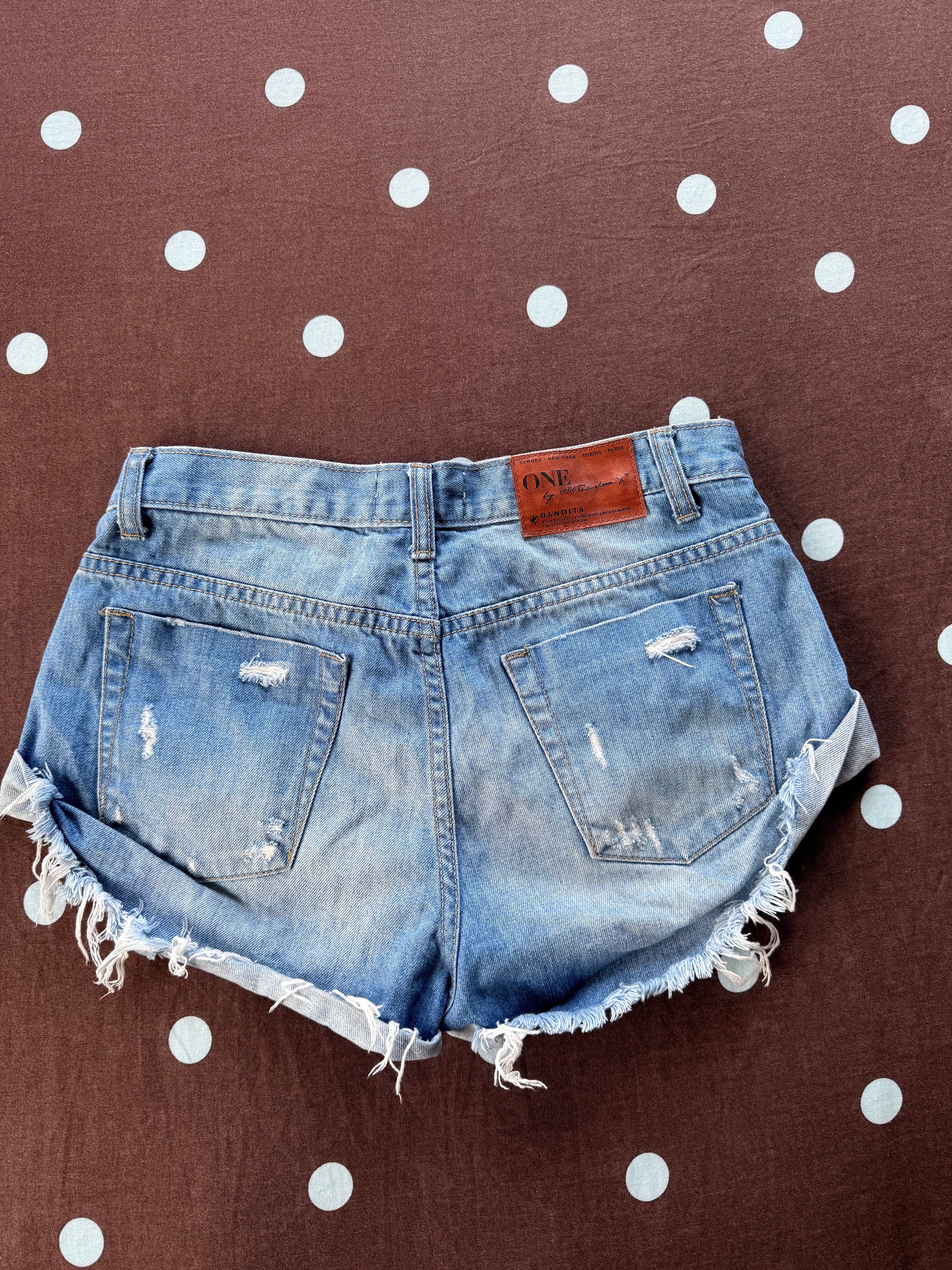 One Teaspoon Shorts / Size 25